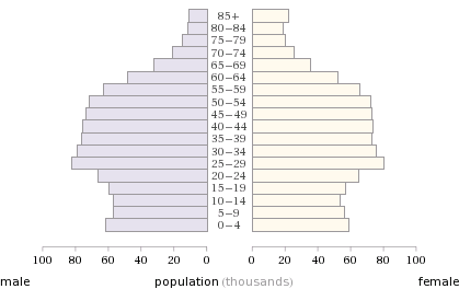 King County population pyramid showing residents ages 18 to 55 by age band and sex